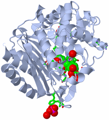 Image Biol. Unit 1 - sites