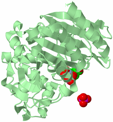 Image Biological Unit 2