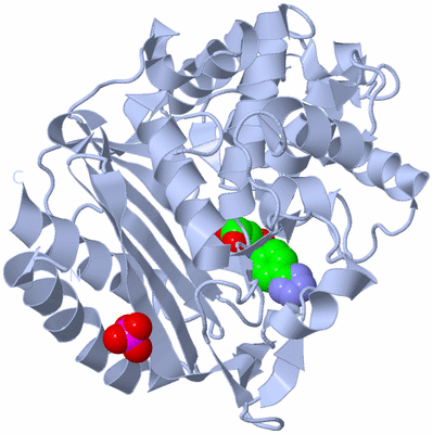 Image Biological Unit 1