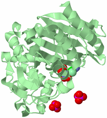 Image Biological Unit 2