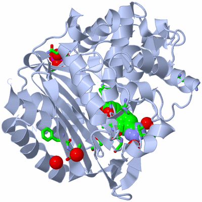 Image Biol. Unit 1 - sites