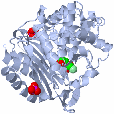 Image Biological Unit 1