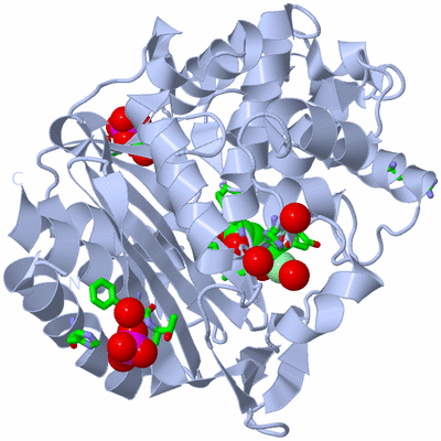 Image Biol. Unit 1 - sites