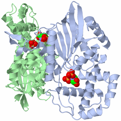 Image Asym./Biol. Unit