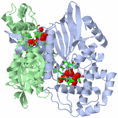 Image Asym./Biol. Unit - sites