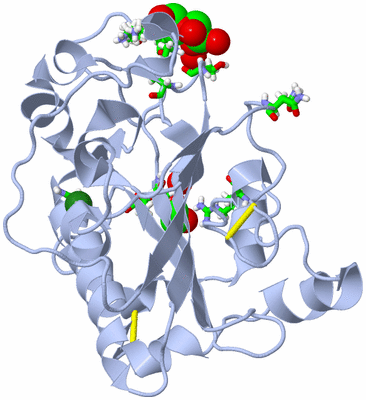 Image Biol. Unit 1 - sites