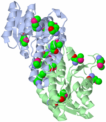 Image Biological Unit 1