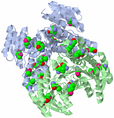 Image Biological Unit 2