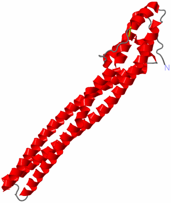 Image Asymmetric Unit