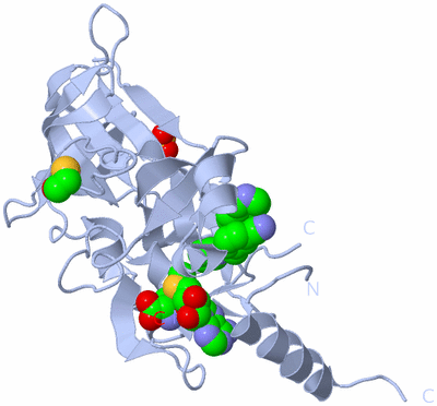 Image Biological Unit 1