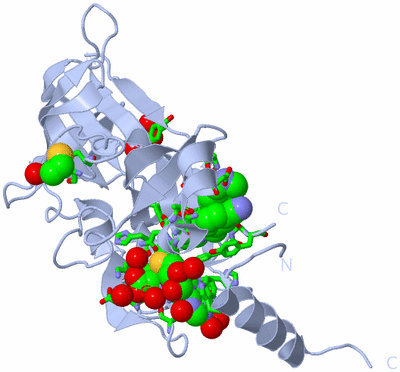 Image Biol. Unit 1 - sites