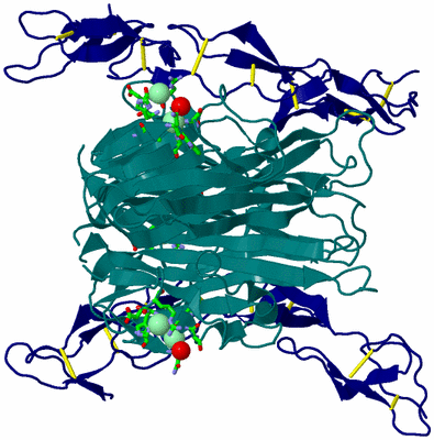 Image Biol. Unit 1 - sites