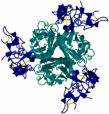 Image Biological Unit 2