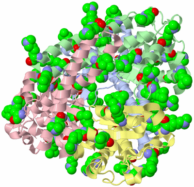 Image Asym./Biol. Unit