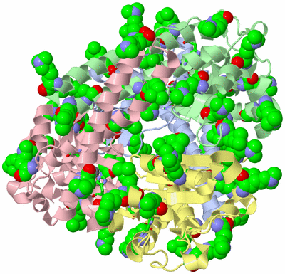 Image Asym./Biol. Unit - sites