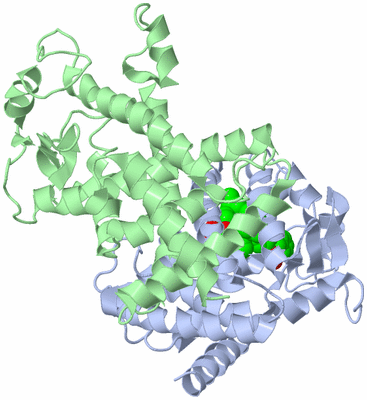 Image Biological Unit 1