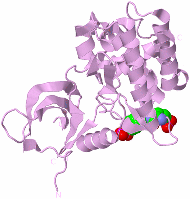 Image Biological Unit 3