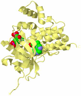 Image Biological Unit 3