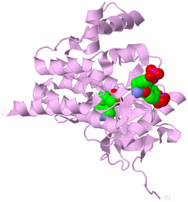 Image Biological Unit 4