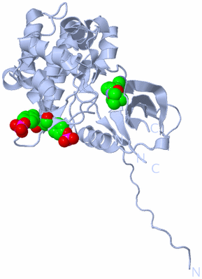 Image Biological Unit 1