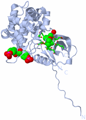 Image Biol. Unit 1 - sites