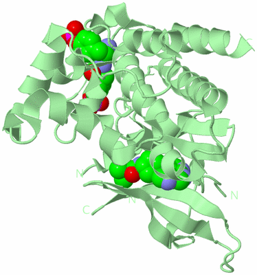 Image Biological Unit 2