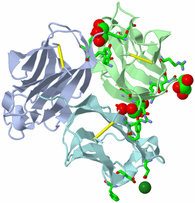 Image Biol. Unit 1 - sites