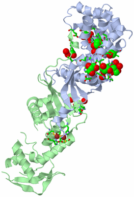 Image Asym./Biol. Unit - sites