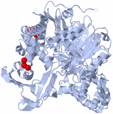 Image Biol. Unit 1 - sites