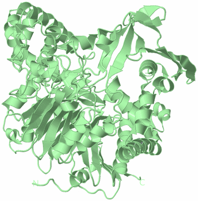 Image Biological Unit 2