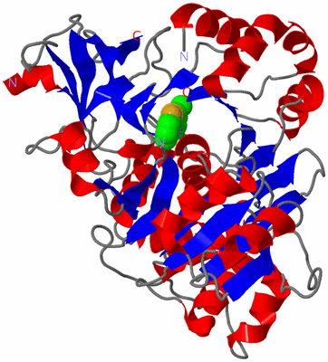 Image Asym./Biol. Unit