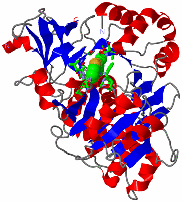 Image Asym./Biol. Unit - sites