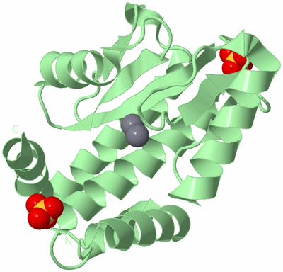 Image Biological Unit 2