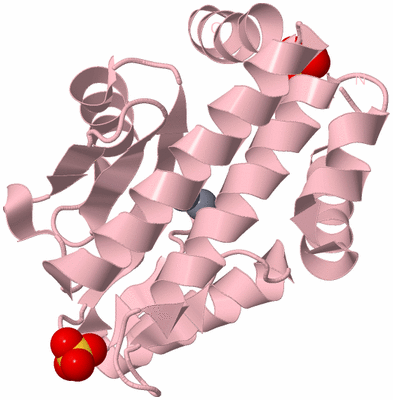 Image Biological Unit 3