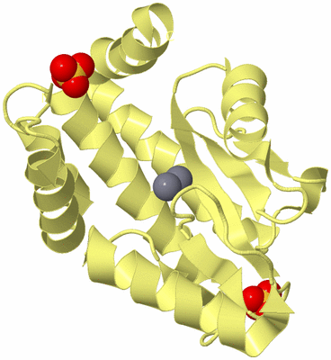 Image Biological Unit 4