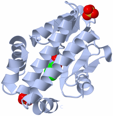 Image Biological Unit 1