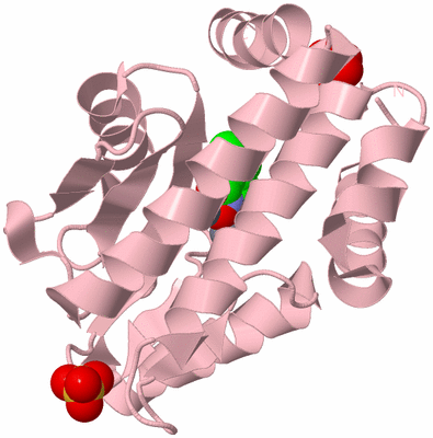 Image Biological Unit 3