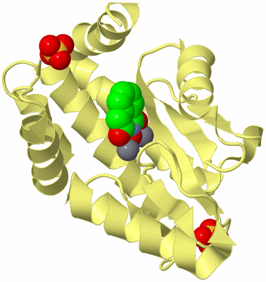 Image Biological Unit 4