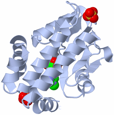 Image Biological Unit 1