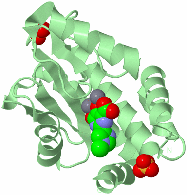 Image Biological Unit 2