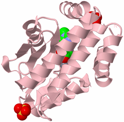 Image Biological Unit 3