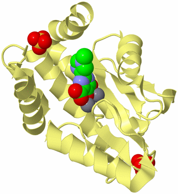 Image Biological Unit 4