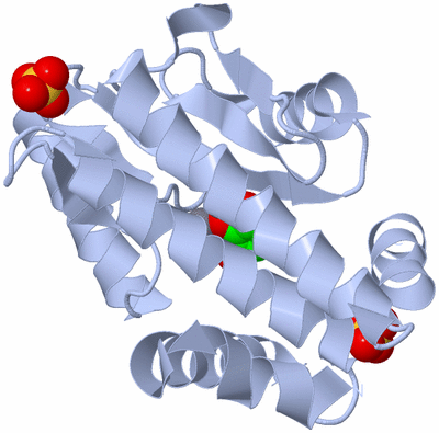 Image Biological Unit 1