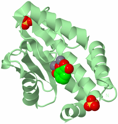 Image Biological Unit 2