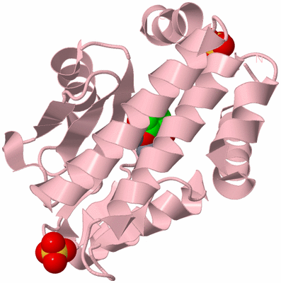 Image Biological Unit 3