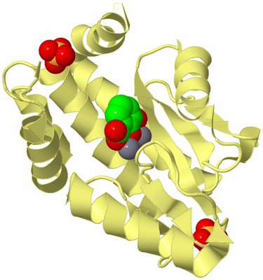 Image Biological Unit 4