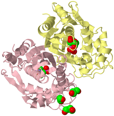 Image Biological Unit 2