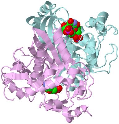 Image Biological Unit 3