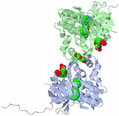 Image Asym./Biol. Unit