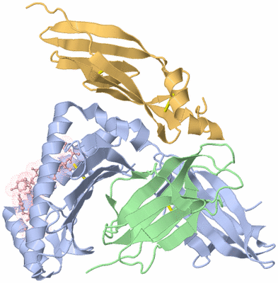 Image Biological Unit 1